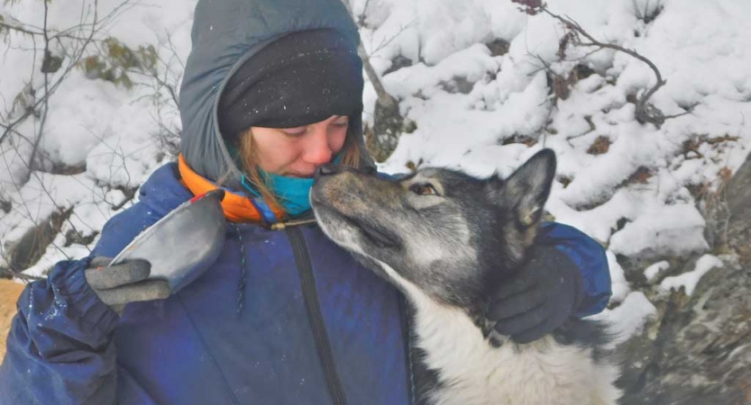 A sled dog and a person touch noses in a snowy landscape